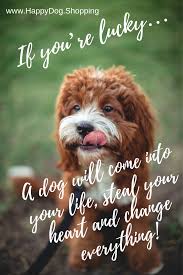 Individualistic Easy Train Dog Dog Quotes Puppy Quotes Best Dog Quotes