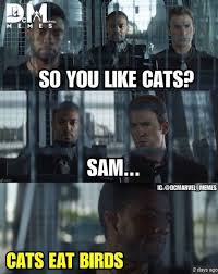 Pin By Ewoksoverporgs On Marvel Marvel Jokes Funny Marvel Memes Avengers