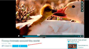 This is a new hack to download private vimeo videosif nothing works please email me your querymy email: Vimeo Video Downloader A Great Means To Download From Vimeo Videos Quickly