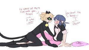 Pin On Miraculous Tales Of Ladybug And Cat Noir