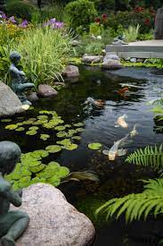 Backyard Ideas Pond Landscaping Ponds Backyard Pond Plants