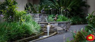 Garden Design Landscaping Gauteng Award Winning Landscapers Garden Landscape Design Garden Design Water Features In The Garden
