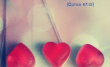 Informasi lebih lanjut, bisa dibaca di sini. Hati Nurani Menurut Islam Dan Al Quran Dalamislam Com