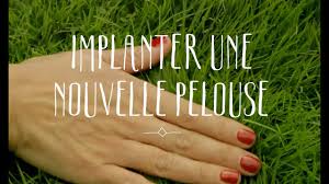 Faire Son Gazon Semer Une Pelouse Conseils Video