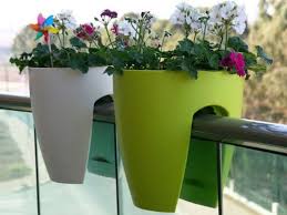 ( 0.0) out of 5 stars. Plastic Balcony Railing Planter Peacock Planter à¤¸à¤œ à¤µà¤Ÿ à¤—à¤®à¤² à¤¡ à¤• à¤° à¤Ÿ à¤µ à¤ª à¤² à¤Ÿà¤° In Kadam Wak Wasti Pune Sanjay Nursery Id 14051585933