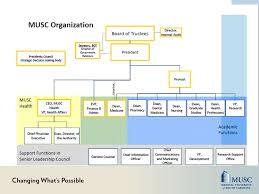 musc college of medicine new faculty orientation january ppt