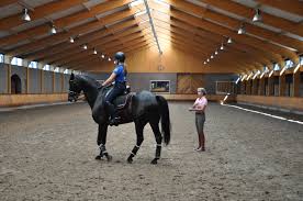 Die in erp ligt, waar ze ook is geboren. Talentenplan Dressuur Ek Combinaties Op Stage Bij Anky Van Grunsven Paardensport Vlaanderen