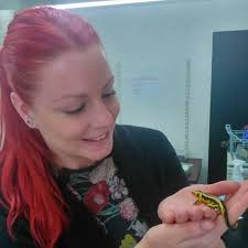 Scapa Fest 2018: Directory