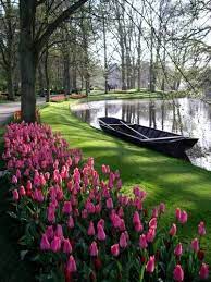 The Essential Guide To The Keukenhof Flower Gardens Near Amsterdam Beautiful Gardens Amsterdam Tulips Tulip Season