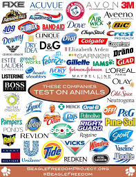 Pin On Cruelty Free Beagles