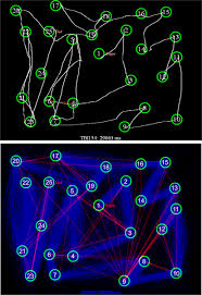 Image result for Trail Making Test