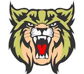 Yankton Girls Varsity Volleyball @ Brookings