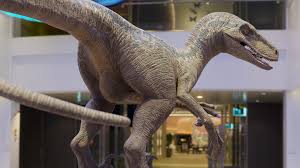 Rule34 Angrydraconequus blue jurassic world dinosaur desire