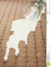 Ob sich die zu entfernende milch im polster vom auto oder im teppich befindet ist erstmal nebensächlich! Verschuttete Milch Auf Teppich Stockbild Bild Von Farbe Reinigung 25440141