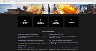 You can play pubg on your own. Pubg Night Mode How To Enable It Night Eye