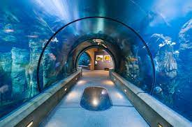 Just remember, this is a protected area, so you are free to look and take pictures but not to remove anything. Oregon Coast Aquarium Linkedin