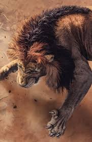 Nat Geo Wild Circle Of Life On Behance Animales Salvajes Leones Animales Fotos De Leones