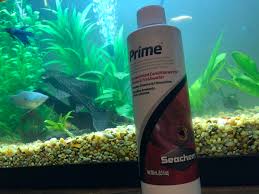 Best Water Conditioner Aquariums