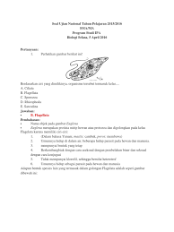 Download soal ujian nasional kertas pensil unkp fisika sma ipa tahun pelajaran 2018 2019. Soal Osn Biologi Sma 2016 Dan Pembahasannya Pdf