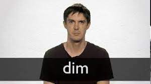 The authentic dim sum that is available was just like the…. Dim Definition Und Bedeutung Collins Worterbuch