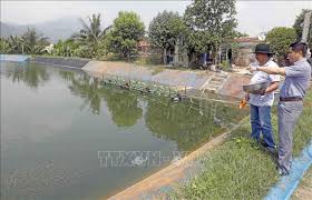 Đà nẵng thực hiện các biện pháp quyết liệt, cao hơn chỉ thị số 16 nhằm đảm bảo phong tỏa, giãn cách và cách ly trên địa bàn toàn tp từ 18h hôm nay ngày 31/7. Ä'a Náºµng Hiá»‡u Quáº£ Tá»« Chá»‰ Thá»‹ 40 Ct Tw áº£nh Thá»i Sá»± Trong NÆ°á»›c Kinh Táº¿ Thong Táº¥n Xa Viá»‡t Nam Ttxvn