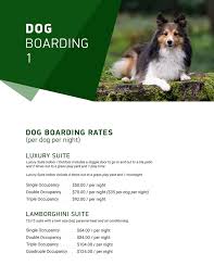 Where pampered pets play and stay!!!pet grooming. Dog Boarding In Tulsa Ok Woodland West Pet Resort
