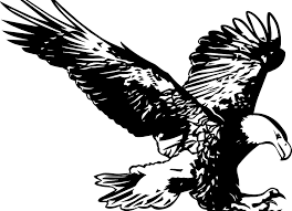 Lukisan hitam putih kepala burung. 78 Gambar Elang Hitam Putih Terlihat Keren Gambar Pixabay