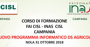 L'inas opera ogni giorno per garantire. Inas Cisl Campania