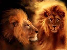 Lion Christian Wallpaper Free Download Lion Animal Wallpaper 3d 1024x768 Wallpaper Teahub Io