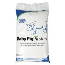 Dog adopts baby pig (video) by joanna zelman. Baby Pig Restart Techmix Qc Supply