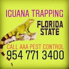 Mosquito shield of miami beach, a team trappers, on demand pest control, home pro 305, reliapro pest control, llc. Aaa Pest Control Aaapestpro Profile Pinterest