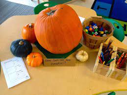 Pin On Provocations Morning Experiences