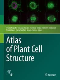 Plant cell structure is not included in all health science subjects (e.g. Atlas Of Plant Cell Structure Springerlink