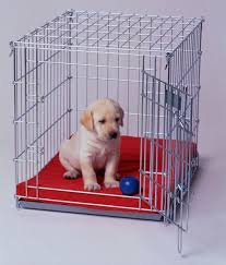 Another benefit of crate training your puppy is that it is inevitable that your pet will need to be transported to. Key Tips For Crate Training Your Puppy Crate Training Puppy Training Your Puppy Potty Training Puppy