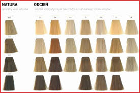 28 Albums Of Ion Permanent Hair Color Chart Explore