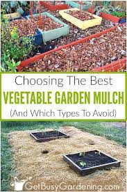 Choosing The Best Mulch For Vegetable Gardens Mulch For Vegetable Garden Garden Mulch Vegetable Garden Design