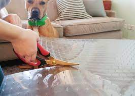 Jack S Trick Dog Couch Keep Dog Off Couch Dog Couch Protector