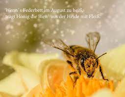 Wings by mac miller needs to be in here. Zitate Raiffeisen Com