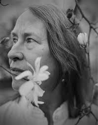 22nd Appalachian Mountain Photography Competition and Exhibition