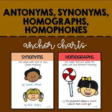 Antonyms Synonyms Homophones Homographs Anchor Charts