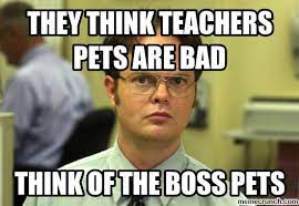 Boss Pet Schrute