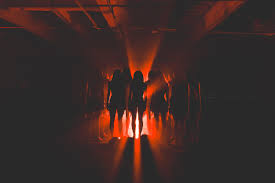 Paige Wilkey Archives