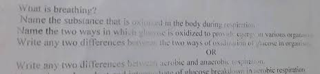 Cellular respiration is a redox reaction that extracts energy from glucose. List The Similarities And Differences Between Aerobic And Anaerobic Respiration