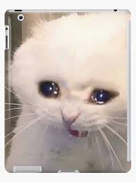 Crying Cat Meme Ipad Case Skin By Dylano1803 Redbubble