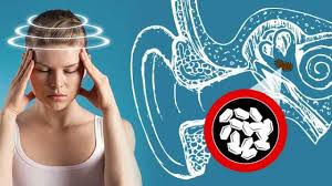 Crystal wands are powerful tools for healing especially quartz crystal wands. How To Balance Crystals In Your Ear