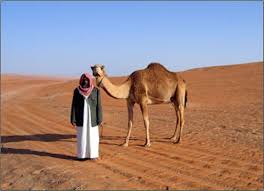 Many australian families have embraced the idea of welcoming camels into their lives as pets. Camels Kidcyber