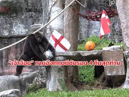 วิเคราะห์บอล ยูโร 2020 อังกฤษ vs เดนมาร์ก สนาม : 9vyx1vawjumyem