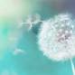 Reset & Release Stress - EFT Tapping Circle event image