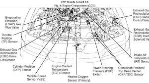 V6 acura and honda having problems with egr trouble codes p0401 within 1999 honda accord v6 engine diagram, image size 900 x 766 px, and to view image details please click the image. 1997 Honda Accord Engine Diagram Wiring Diagram B86 Seed