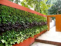 Wie Man Einen Vertikalen Garten Macht Ideen Fur Aussen Und Innenraume Wohnideen Fur Inspiration Vertikaler Garten Landschaftsgestaltung Landschaftsdesign
